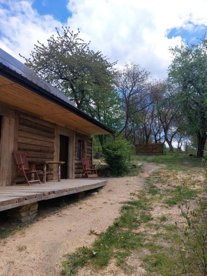 Agroturystyka Lipowewzgorze- Jas&Malgosia Tereszpol Luaran gambar